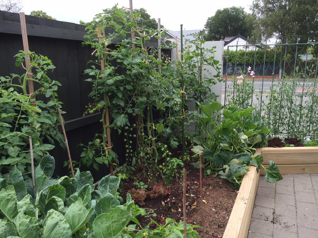 Garden Bed And Breakfast Christchurch Exterior foto