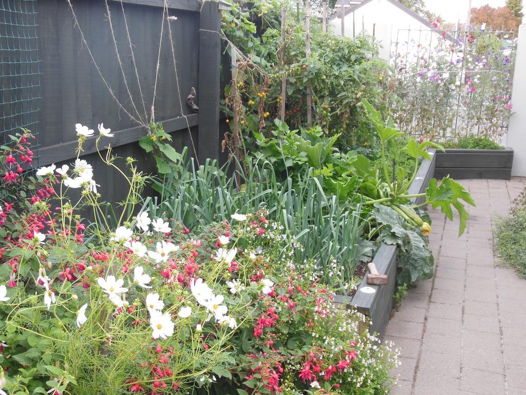 Garden Bed And Breakfast Christchurch Exterior foto