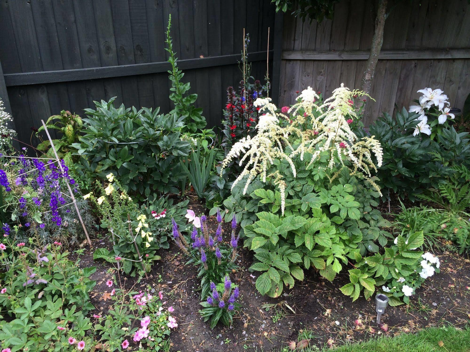 Garden Bed And Breakfast Christchurch Exterior foto