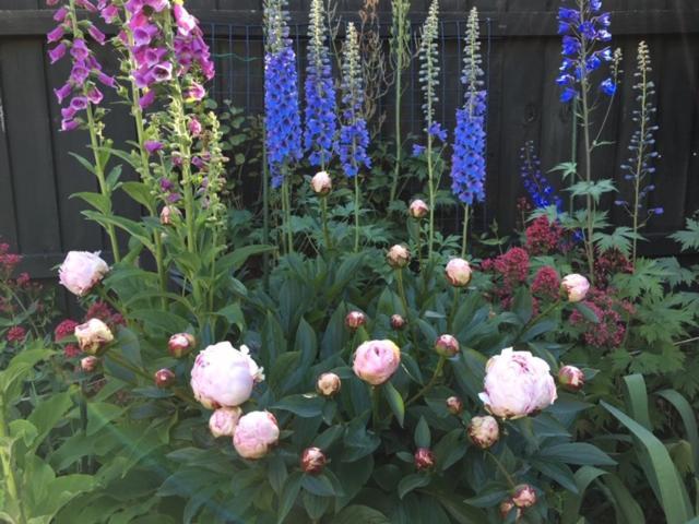Garden Bed And Breakfast Christchurch Exterior foto
